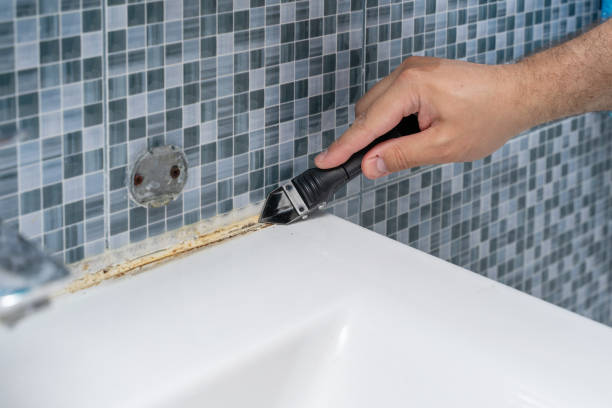 Best Basement Mold Remediation in Port Sulphur, LA